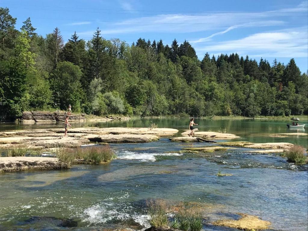 Les Rives De L'ain *